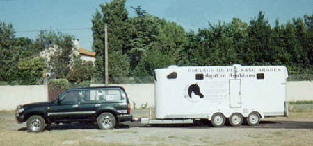 vans 4 places chevaux